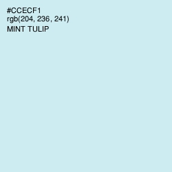#CCECF1 - Mint Tulip Color Image